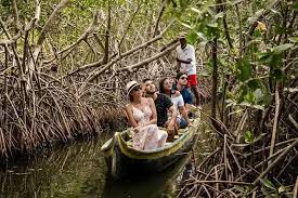Menjelajahi Hutan Mangrove dengan Perahu